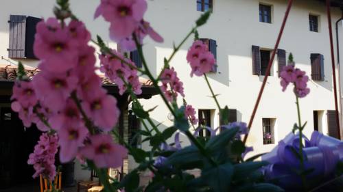 Muscletto Italy Booking.com Hotel