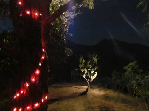 Dehradun India Booking.com Hotel