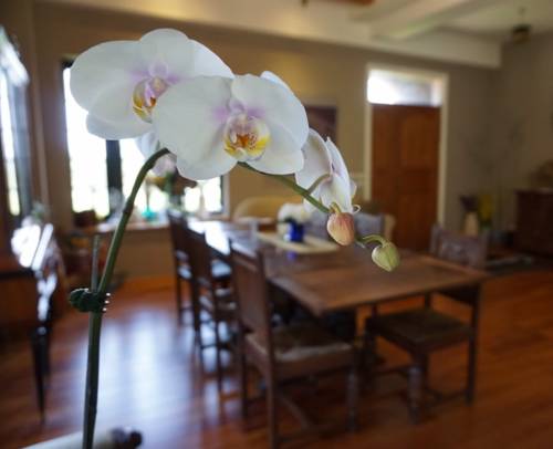 Toucheng Taiwan Booking.com Hotel