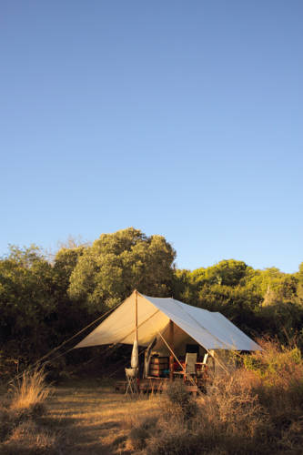 Addo Zuid-Afrika hotel mega promotiecode Booking.com