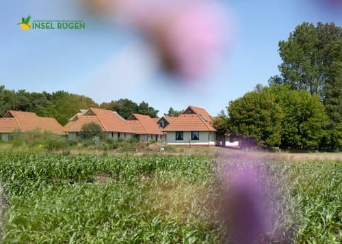 Ummanz Duitsland hotel mega promotiecode Booking.com
