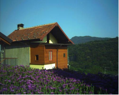 Cossogno Italien Mega Hotel Gutscheincode Booking.com