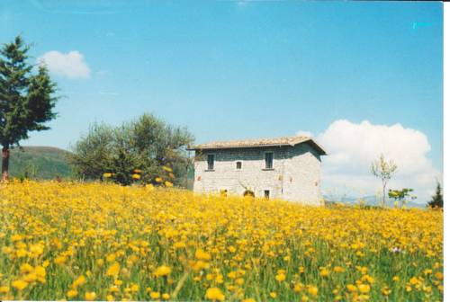 Forlì Del Sannio Italien Mega Hotel Gutscheincode Booking.com