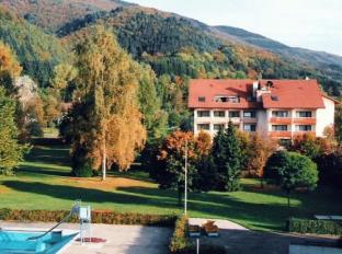 Wehr Germany mega hotel