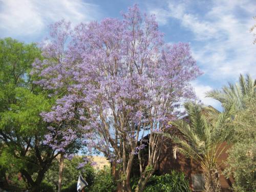 Yavneʼel Israel Mega Hotel Gutscheincode Booking.com