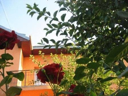Suceava Roemenië hotel mega promotiecode Booking.com