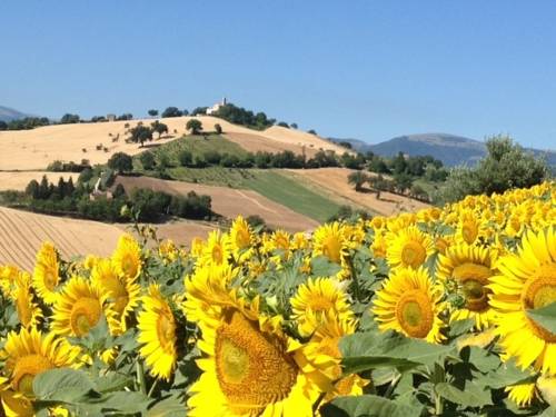 Tolentino Italien Mega Hotel Gutscheincode Booking.com