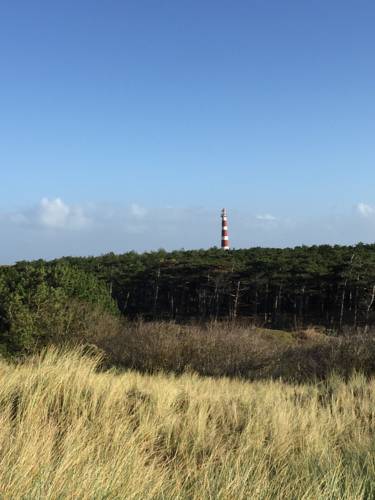 Hollum Ameland Netherlands Booking.com Hotel