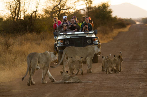Réserve animalière de Madikwe Afrique du Sud méga code promo booking.com