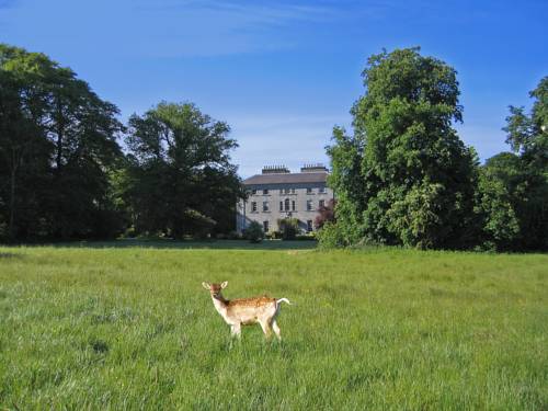 Riverstown Irland Mega Hotel Gutscheincode Booking.com