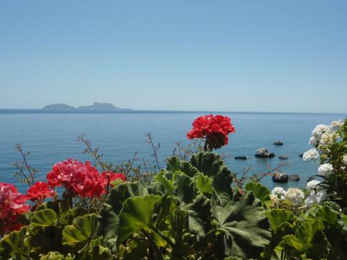 Agios Georgios  Grecia mega código de promoción booking.com