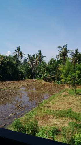 Ubud Indonesia mega código de promoción booking.com