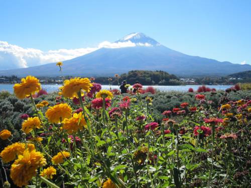 Fujikawaguchiko Japon méga code promo booking.com