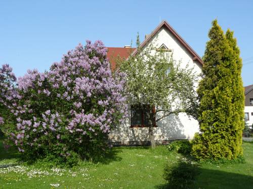 Destne v Orlickych horach Tschechien Mega Hotel Gutscheincode Booking.com